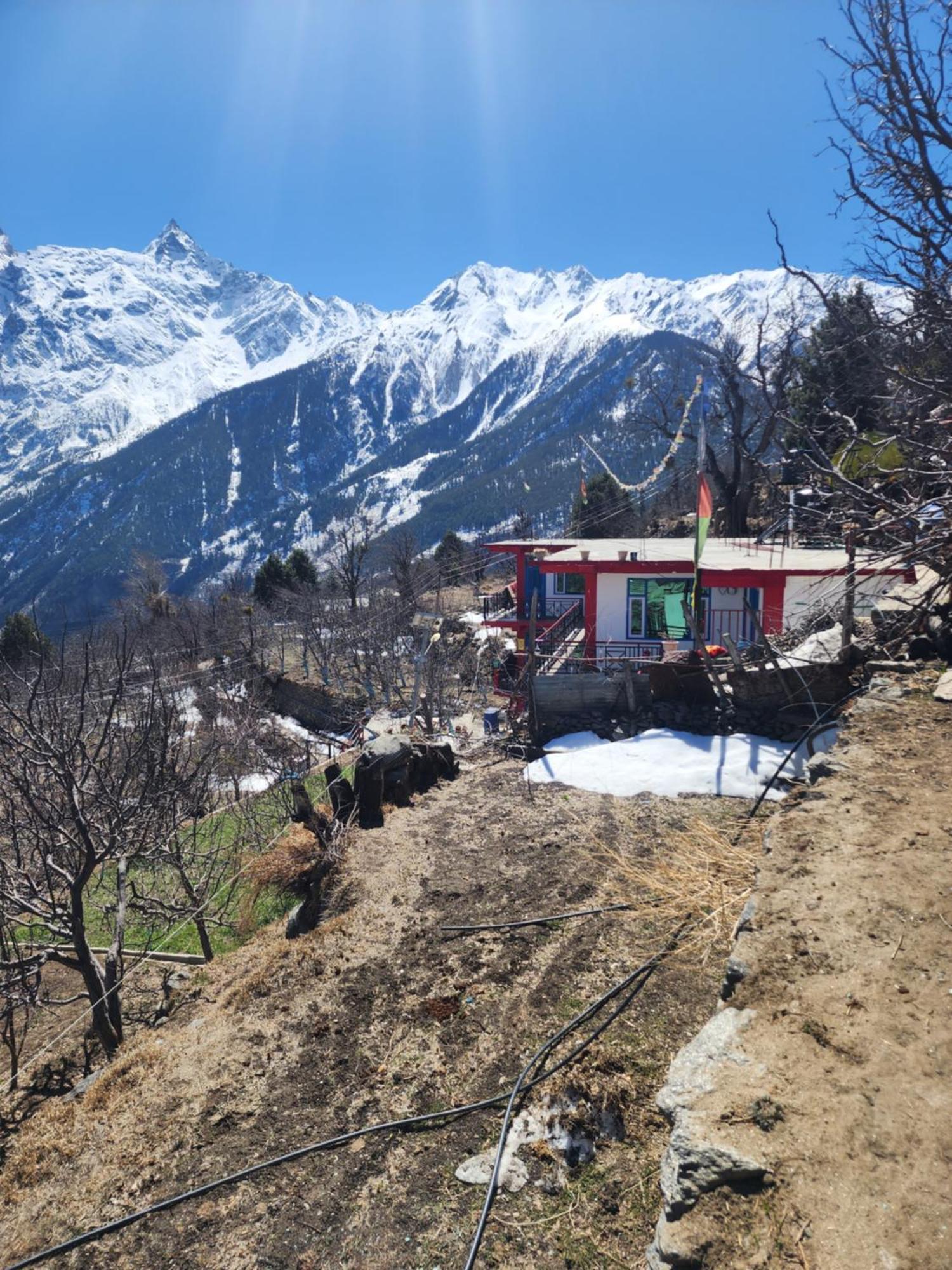 Safarnama Retreat Homestay - All Rooms With Mountain View Kalpa Exterior photo